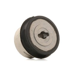 Trailing Arm Bush RIDEX 251T0256 OE Ref 00423 318