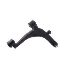 Control Trailing Arm RIDEX 273C0539 OE Ref 54500-00QAD