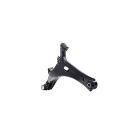 Control Trailing Arm RIDEX 273C1381 OE Ref 20202 AG191