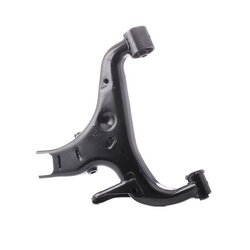 Control Trailing Arm RIDEX 273C1519 OE Ref RGG500301