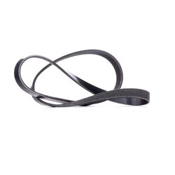 V Ribbed Belt RIDEX 305B0258 OE Ref 1421341