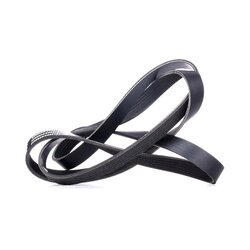 V Ribbed Belt RIDEX 305B0283 OE Ref 46801957