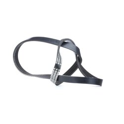 V Ribbed Belt RIDEX 305P0013 OE Ref 038 260 849 A