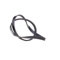 V Ribbed Belt RIDEX 305P0016 OE Ref 128059