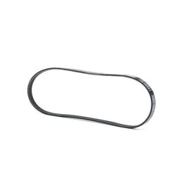 V Ribbed Belt RIDEX 305P0017 OE Ref 034903137B