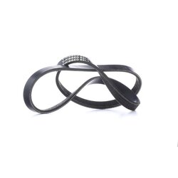 V Ribbed Belt RIDEX 305P0019 OE Ref 4891935AB