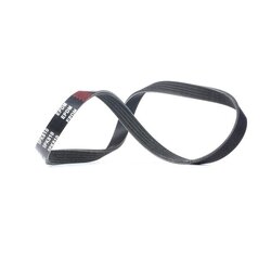 V Ribbed Belt RIDEX 305P0024 OE Ref 64 55 7 786 170