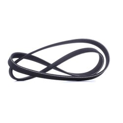 V Ribbed Belt RIDEX 305P0032 OE Ref 5750 95