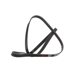 V Ribbed Belt RIDEX 305P0041 OE Ref 55350421