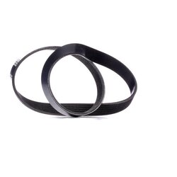 V Ribbed Belt RIDEX 305P0049 OE Ref 038 903 137 G