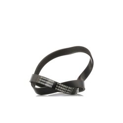 V Ribbed Belt RIDEX 305P0059 OE Ref 036 145 933 Q