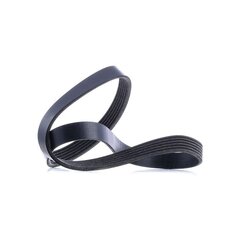 V Ribbed Belt RIDEX 305P0060 OE Ref 46775098