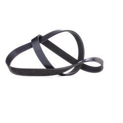 V Ribbed Belt RIDEX 305P0064 OE Ref MN158101