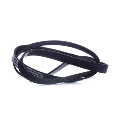 V Ribbed Belt RIDEX 305P0072 OE Ref 11281437368