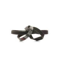 V Ribbed Belt RIDEX 305P0073 OE Ref GMB 61553