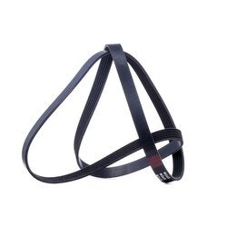 V Ribbed Belt RIDEX 305P0080 OE Ref 5750HE