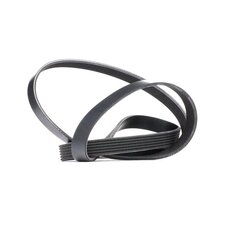 V Ribbed Belt RIDEX 305P0083 OE Ref 46787906