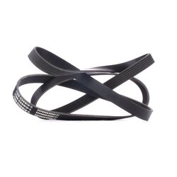 V Ribbed Belt RIDEX 305P0089 OE Ref 078903137BD