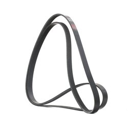 V Ribbed Belt RIDEX 305P0100 OE Ref 078903137P