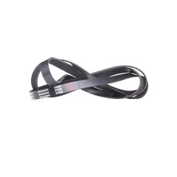 V Ribbed Belt RIDEX 305P0103 OE Ref 059903137H