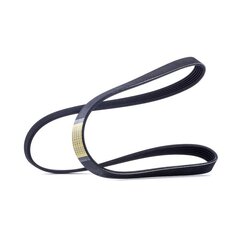 V Ribbed Belt RIDEX 305P0114 OE Ref 4861733AC