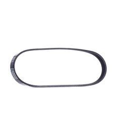 V Ribbed Belt RIDEX 305P0117 OE Ref 2S6E-6C301-CA