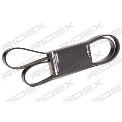 Courroie nervurée RIDEX V 305P0123 pour AUDI, VW, ALFA ROMEO et plus encore... RIDEX