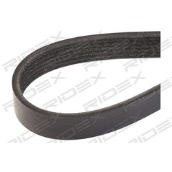 Courroie nervurée RIDEX V 305P0123 pour AUDI, VW, ALFA ROMEO et plus encore... RIDEX