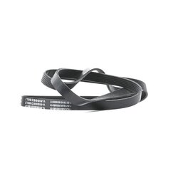 V Ribbed Belt RIDEX 305P0131 OE Ref 71753673