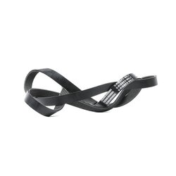 V Ribbed Belt RIDEX 305P0132 OE Ref 1049578