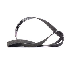 V Ribbed Belt RIDEX 305P0140 OE Ref 04891505AB