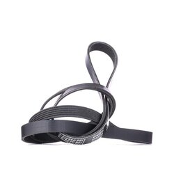 V Ribbed Belt RIDEX 305P0145 OE Ref 5S6G6006AA