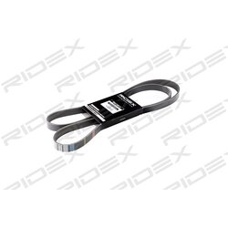 V Ribbed Belt RIDEX 305P0146 OE Ref 60662991
