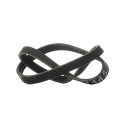 V Ribbed Belt RIDEX 305P0153 OE Ref 038 903 137 S