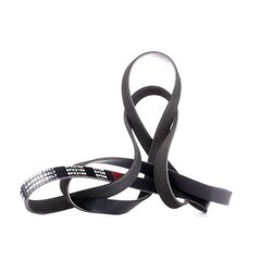 V Ribbed Belt RIDEX 305P0162 OE Ref 1F1E8620AB