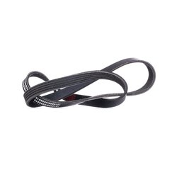 V Ribbed Belt RIDEX 305P0164 OE Ref 11281435280