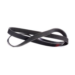 V Ribbed Belt RIDEX 305P0177 OE Ref 4663199AB