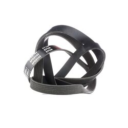 V Ribbed Belt RIDEX 305P0178 OE Ref 51780011