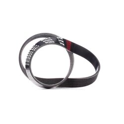 V Ribbed Belt RIDEX 305P0204 OE Ref 9652250480