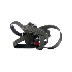 V Ribbed Belt RIDEX 305P0206 OE Ref 06E903137R