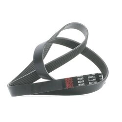 V Ribbed Belt RIDEX 305P0219 OE Ref 38920-PNC-004