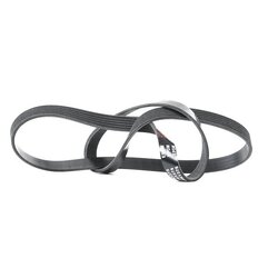 V Ribbed Belt RIDEX 305P0224 OE Ref 55203815