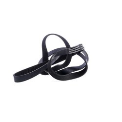 V Ribbed Belt RIDEX 305P0229 OE Ref 0149971592