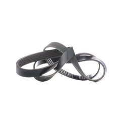 V Ribbed Belt RIDEX 305P0231 OE Ref 55180010