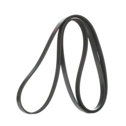 V Ribbed Belt RIDEX 305P0248 OE Ref 2S6G6C301KA