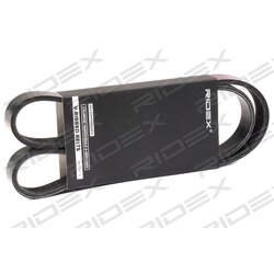 Courroie trapézoïdale RIDEX 305P0291 pour DAF, MERCEDES RIDEX