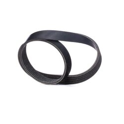 V Ribbed Belt RIDEX 305P0301 OE Ref 3M5Q-6C301-CB