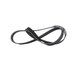 V Ribbed Belt RIDEX 305P0306 OE Ref 95TF-6C301-AA