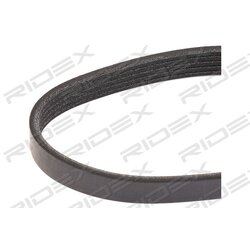 Courroie trapézoïdale à nervures RIDEX 305P0315 pour VAUXHALL, HYUNDAI 09117587 RIDEX