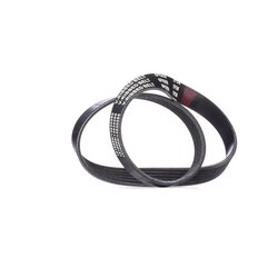 V Ribbed Belt RIDEX 305P0317 OE Ref 5750QK